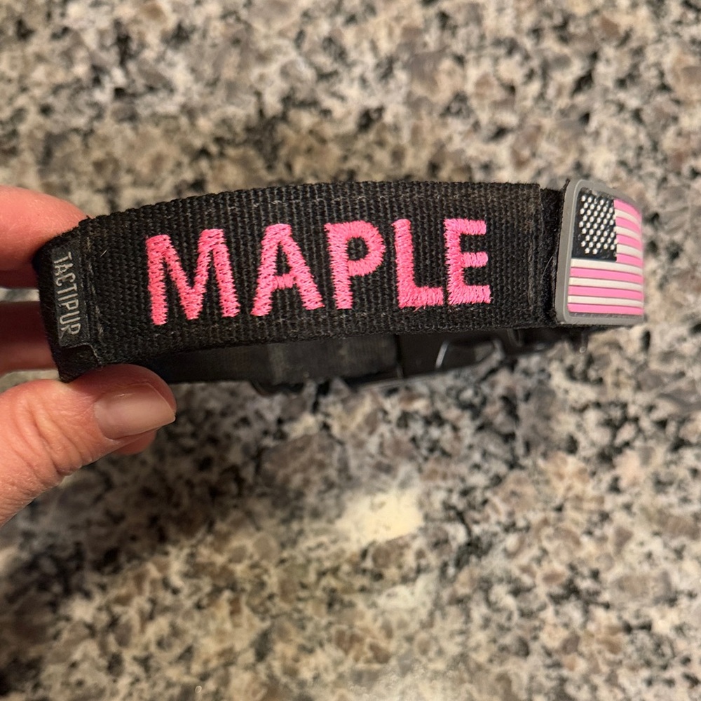 Dog Collar